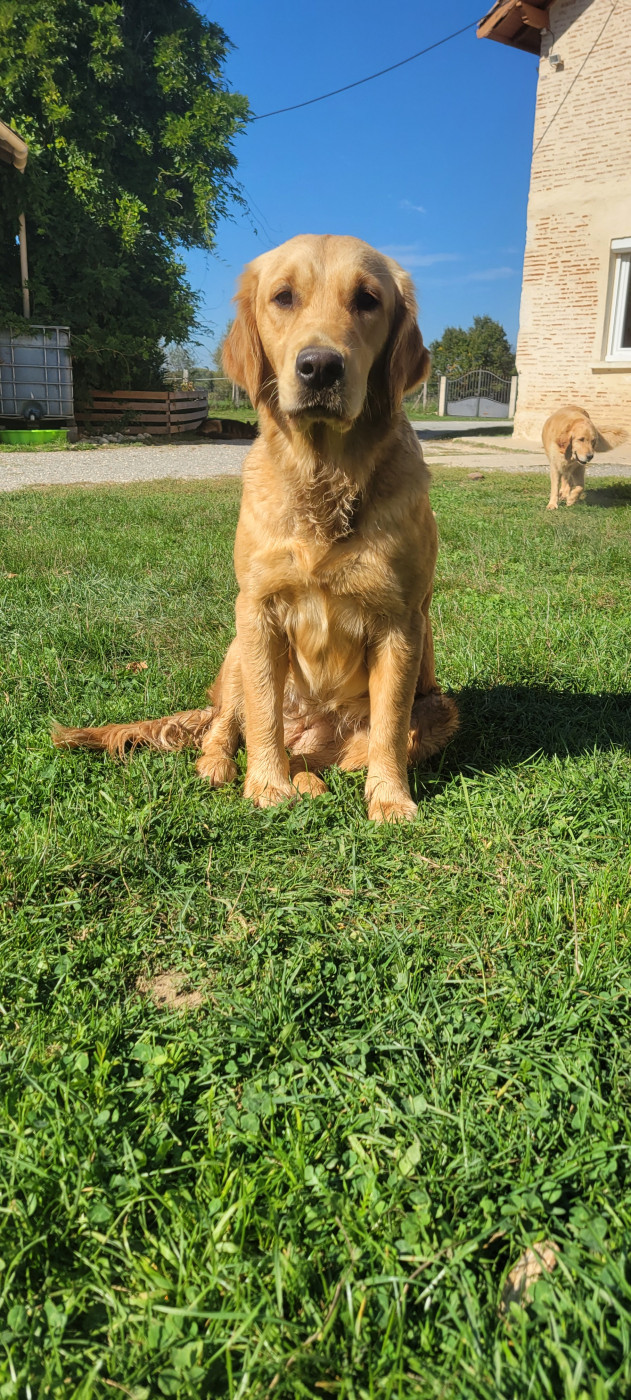 Vénus Du plateau des abeilles