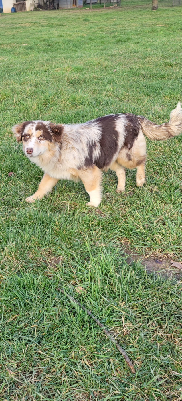 Amazing Moka Domaine des Perles de la Riviera