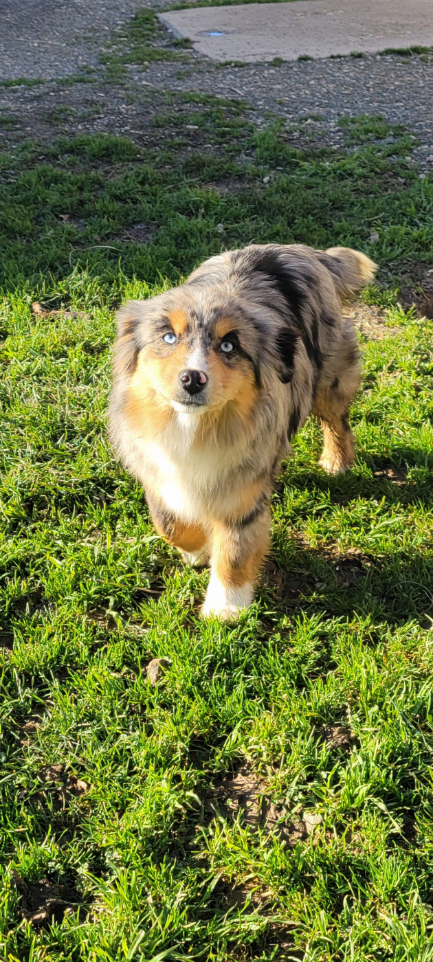 Aphrodite Of Domaine des Perles de la Riviera