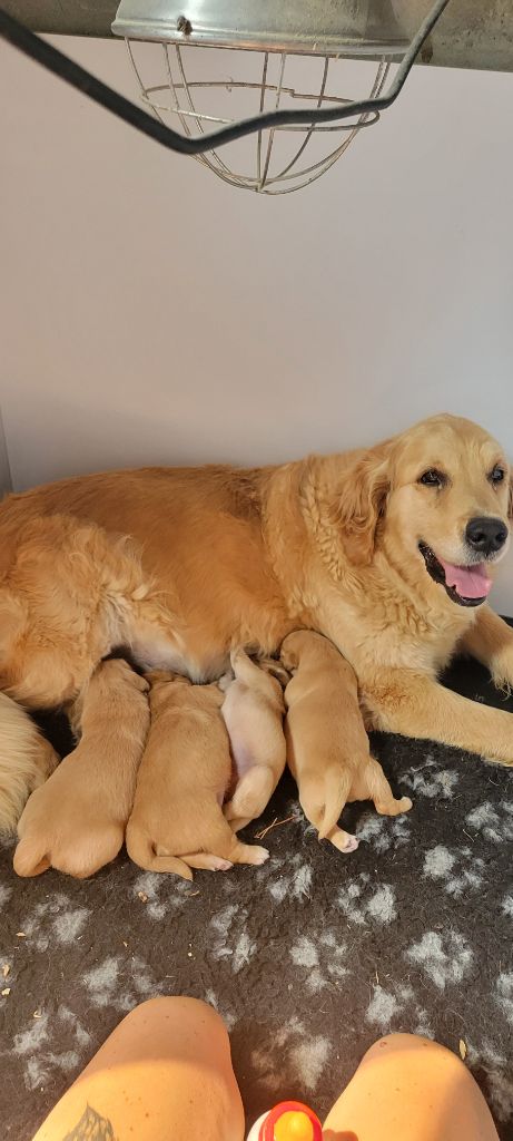 Les bébés sont nés !