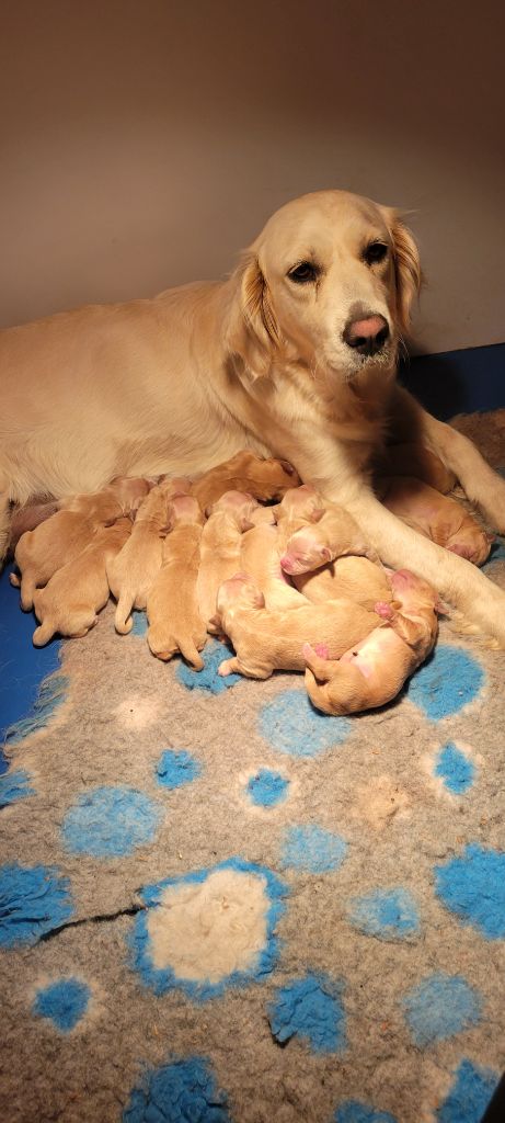 Les bébés sont nés !